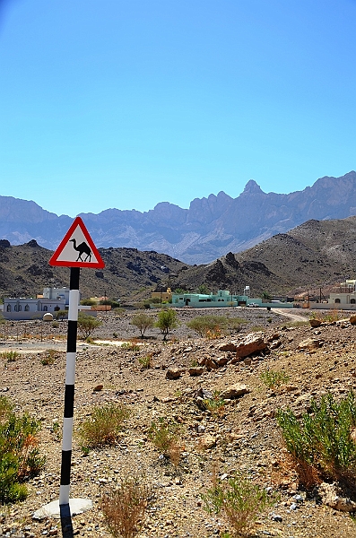 180_Oman_Saiq_Plateau.JPG