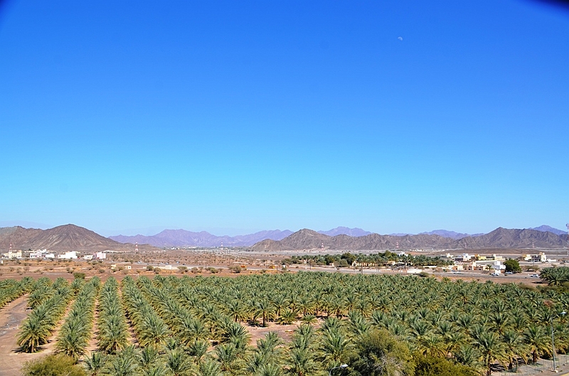 215_Oman_Jabrin_Castle.JPG