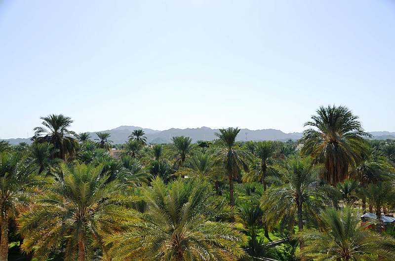 239_Oman_Nizwa_Fort.JPG