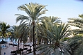 027_Oman_Grand_Hyatt_Muscat