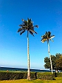 042_Oman_Grand_Hyatt_Muscat
