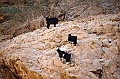 121_Oman_Wadi_Shab
