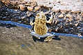 136_Oman_Wadi_Shab