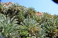 144_Oman_Wadi_Shab