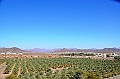 215_Oman_Jabrin_Castle