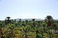 239_Oman_Nizwa_Fort