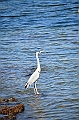 301_Oman_Muscat_Mutrah