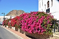 318_Oman_Muscat
