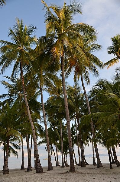127_Philippines_Bohol_South_Palms_Resort_Panglao.JPG