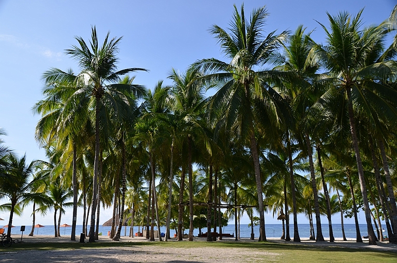 129_Philippines_Bohol_South_Palms_Resort_Panglao.JPG