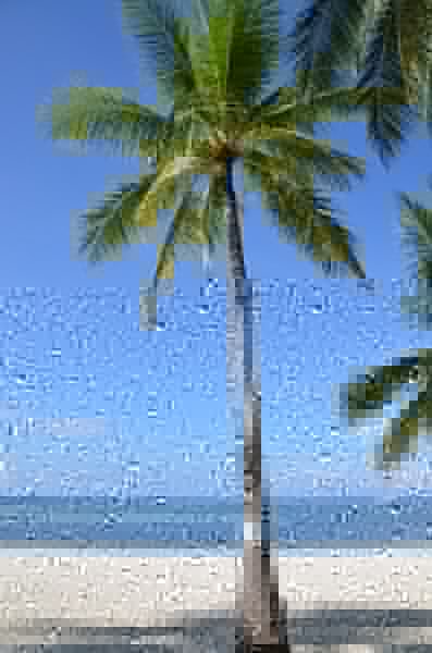 148_Philippines_Bohol_South_Palms_Resort_Panglao.JPG