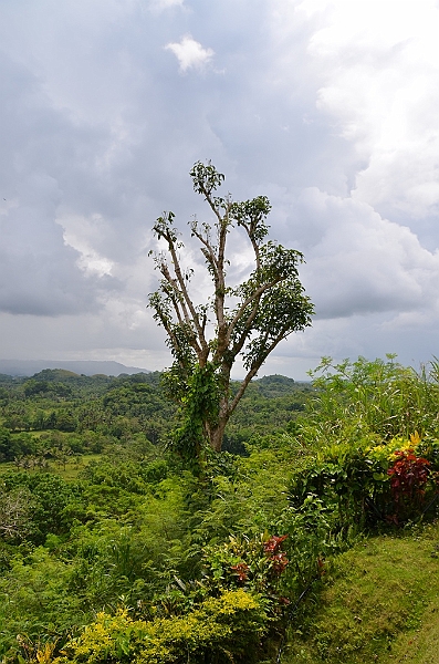 189_Philippines_Bohol_Chocolate_Hills.JPG