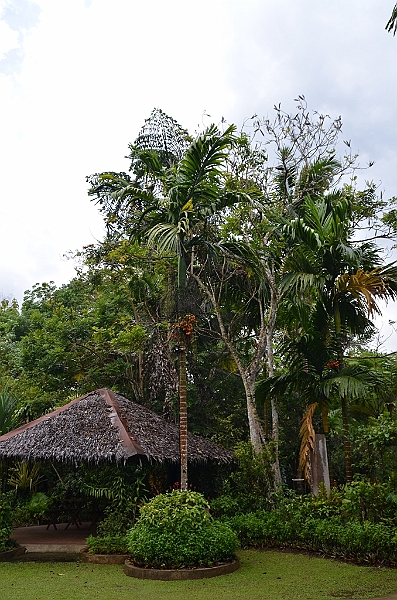 194_Philippines_Bohol_Butterfly_Conservation_Center.JPG