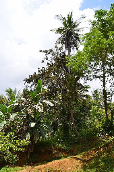212_Philippines_Bohol.JPG