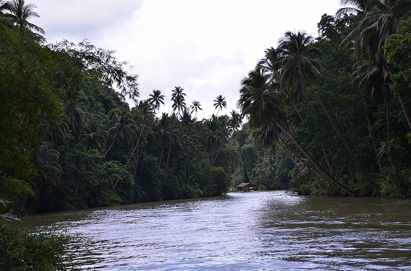 214_Philippines_Bohol_Loboc_River_Cruise.JPG
