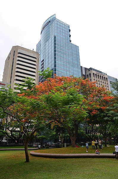 282_Philippines_Manila.JPG