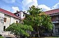 179_Philippines_Bohol_Baclayon_Church