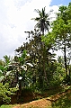 212_Philippines_Bohol