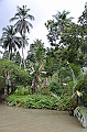 213_Philippines_Bohol_Loboc_River_Cruise