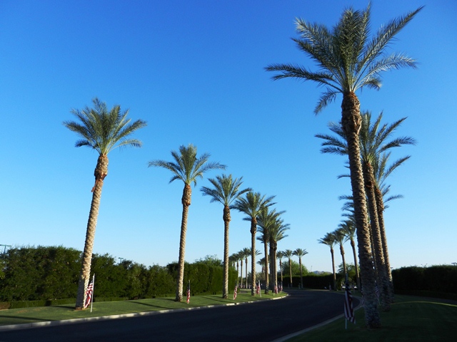 05_Weekend_in_Phoenix_Arizona.JPG