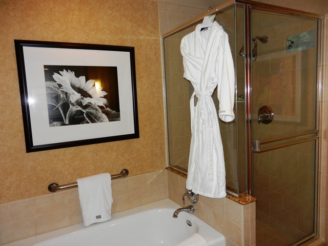 08_Weekend_in_Phoenix_Arizona.JPG