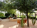 25_Weekend_in_Phoenix_Arizona