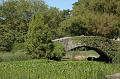 161_NewYork_CentralPark