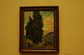 169_NewYork_Metropolitan_Museum_of_Art_Van_Goth
