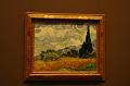171_NewYork_Metropolitan_Museum_of_Art_Van_Goth