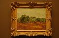 172_NewYork_Metropolitan_Museum_of_Art_Van_Goth