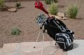 03_El_Paso_meine_Golfschlaeger