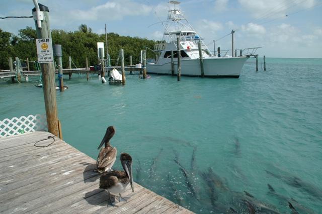 037_USA_Keys.JPG