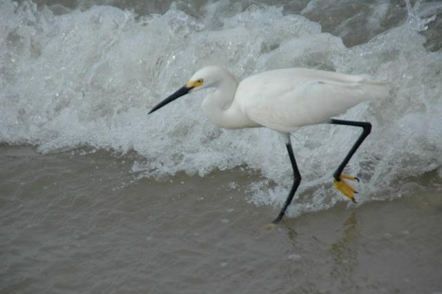134_USA_Daytona_Beach.JPG