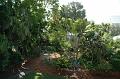 077_USA_Key_West_Hemmingway_House