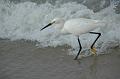 134_USA_Daytona_Beach