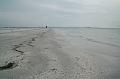 137_USA_Sanibel_Island