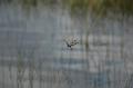 181_USA_Everglades_National_Park