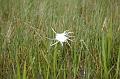 185_USA_Everglades_National_Park