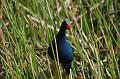 194_USA_Everglades_National_Park