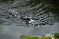 197_USA_Everglades_National_Park