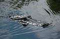 198_USA_Everglades_National_Park