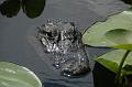 200_USA_Everglades_National_Park