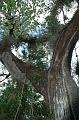 212_USA_Everglades_National_Park