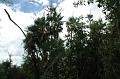213_USA_Everglades_National_Park