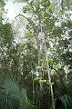 214_USA_Everglades_National_Park