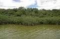 217_USA_Everglades_National_Park