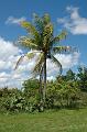 220_USA_Florida