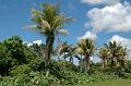 223_USA_Florida