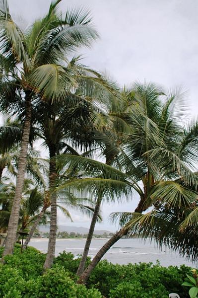015_USA_Hawaii_Oahu_Makaha_Unterkunft.JPG