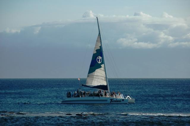 223_USA_Hawaii_Maui_Kapalua.JPG